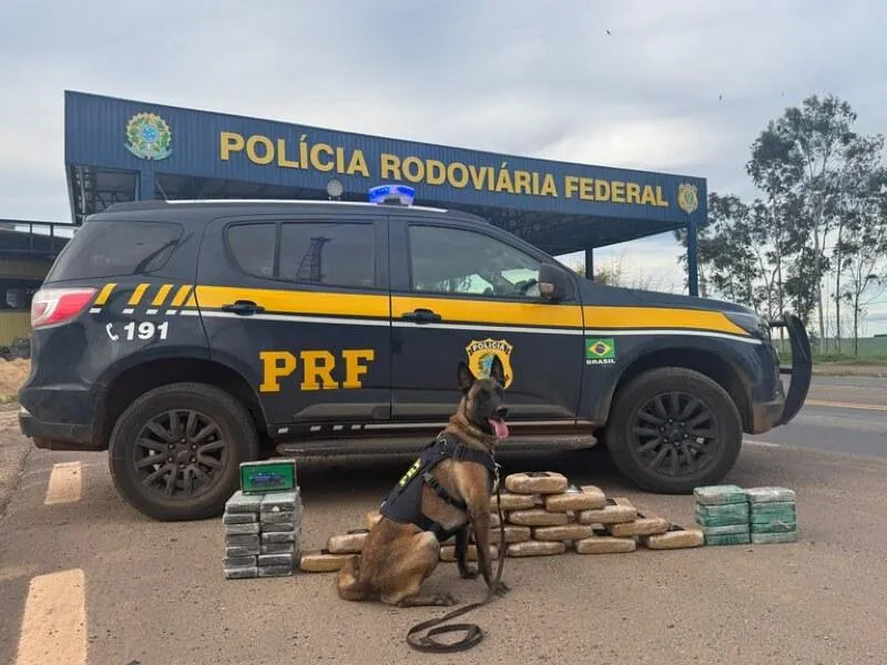Motorista é preso com 46 kg de drogas escondidas em caminhão