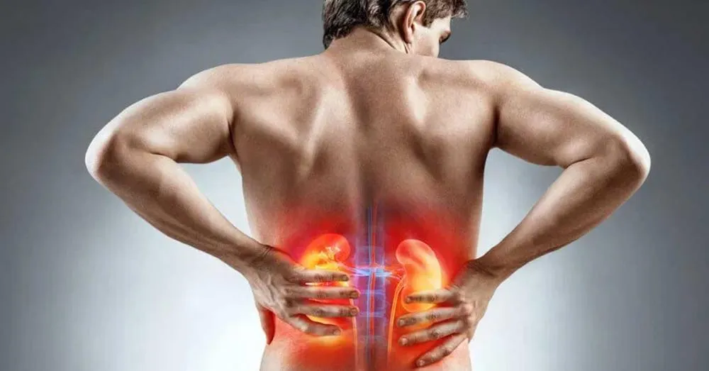 Doença renal crônica: tratamento endovascular traz mais segurança