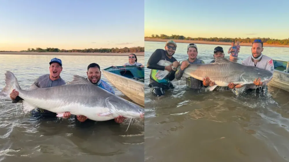 Pescador fisga peixe de mais de 2 metros e luta 50 minutos para tirar foto