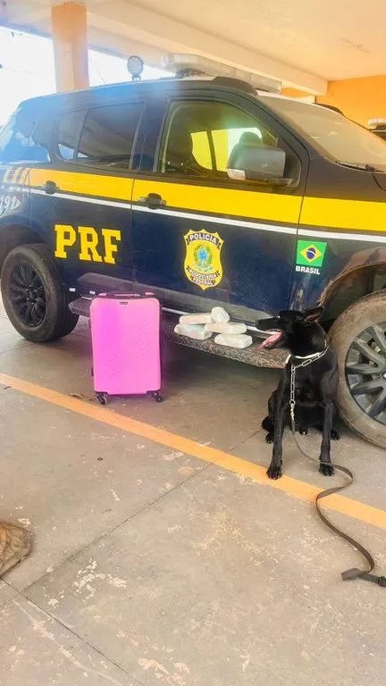 PRF prende passageira com 4 kg de drogas em ônibus na BR-364 em Cuiabá