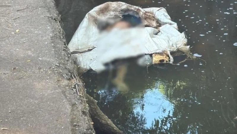 Corpo é encontrado enrolado em saco plástico dentro de córrego no Araés