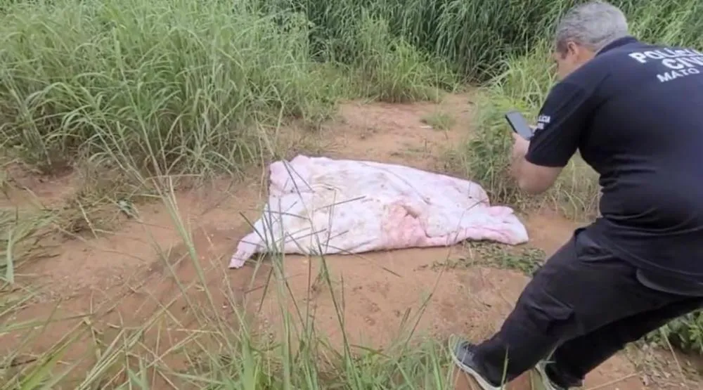 Polícia Civil identifica envolvidos em homicídio de jovem desaparecida e localiza corpo em Sorriso