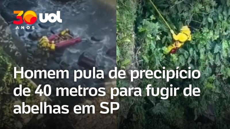Homem pula de precipício de 40 metros para fugir de abelhas em SP; vídeo mostra resgate