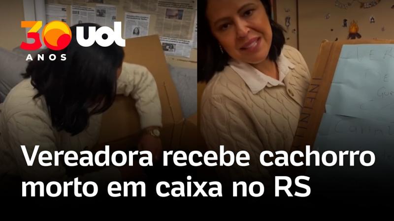 Vereadora defensora da causa animal recebe cachorro morto em caixa no Rio Grande do Sul; vídeo